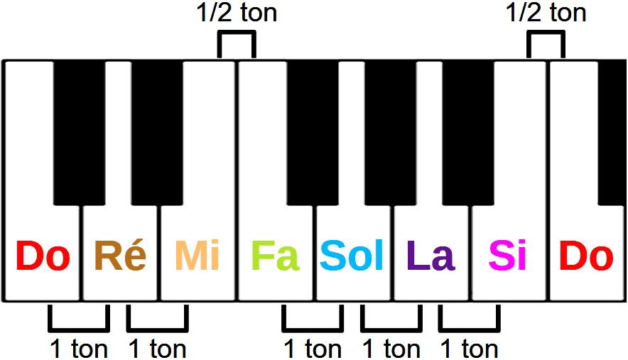 Notes, mode, gamme et tonalité. La gamme de Do majeur sur un clavier de piano avec valeur intervalles